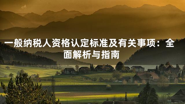 一般纳税人资格认定标准及有关事项：全面解析与指南