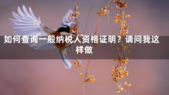 如何查询一般纳税人资格证明？请问我这样做