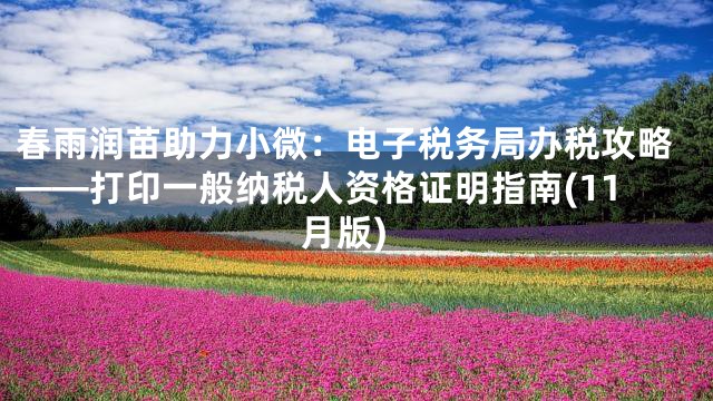 春雨润苗助力小微：电子税务局办税攻略——打印一般纳税人资格证明指南(11月版)