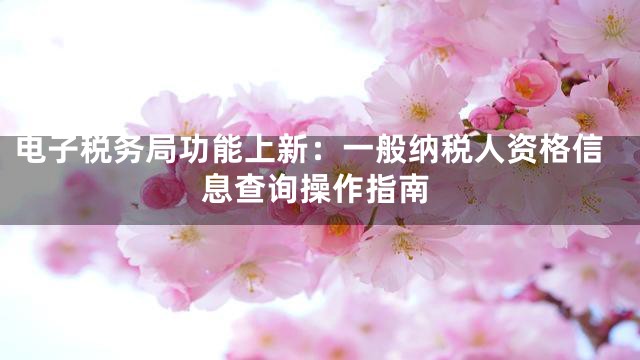 电子税务局功能上新：一般纳税人资格信息查询操作指南