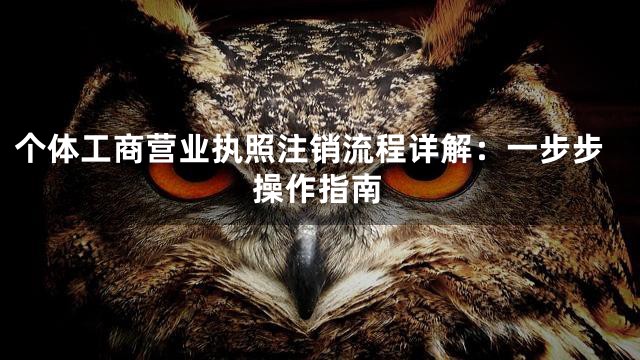 个体工商营业执照注销流程详解：一步步操作指南
