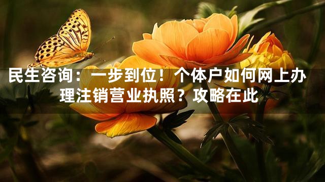 民生咨询：一步到位！个体户如何网上办理注销营业执照？攻略在此