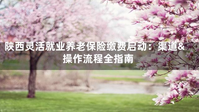 陕西灵活就业养老保险缴费启动：渠道&操作流程全指南