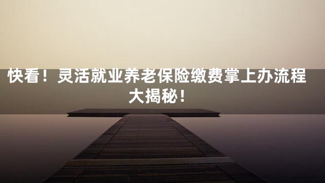快看！灵活就业养老保险缴费掌上办流程大揭秘！