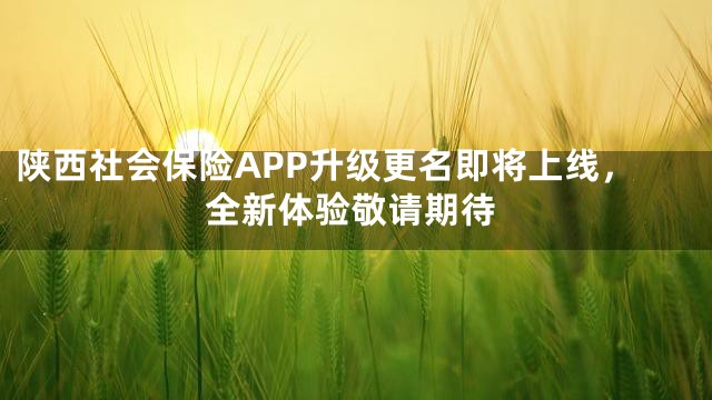 陕西社会保险APP升级更名即将上线，全新体验敬请期待
