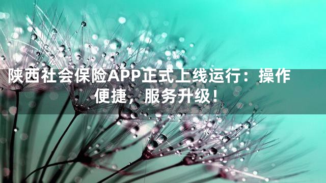 陕西社会保险APP正式上线运行：操作便捷，服务升级！