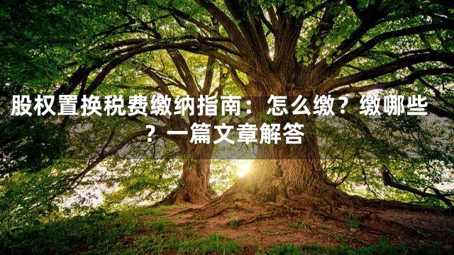 股权置换税费缴纳指南：怎么缴？缴哪些？一篇文章解答
