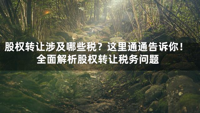 股权转让涉及哪些税？这里通通告诉你！全面解析股权转让税务问题
