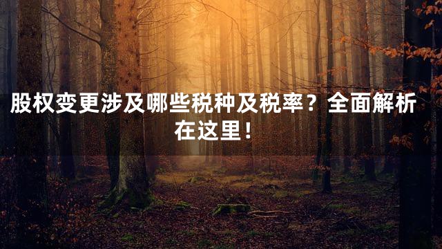 股权变更涉及哪些税种及税率？全面解析在这里！