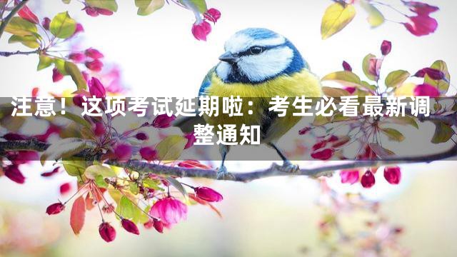 注意！这项考试延期啦：考生必看最新调整通知