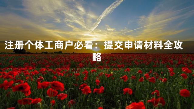注册个体工商户必看：提交申请材料全攻略