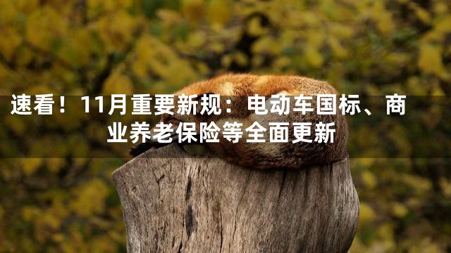 速看！11月重要新规：电动车国标、商业养老保险等全面更新