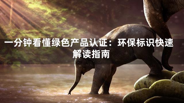一分钟看懂绿色产品认证：环保标识快速解读指南