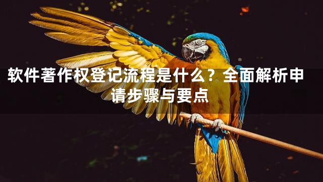 软件著作权登记流程是什么？全面解析申请步骤与要点