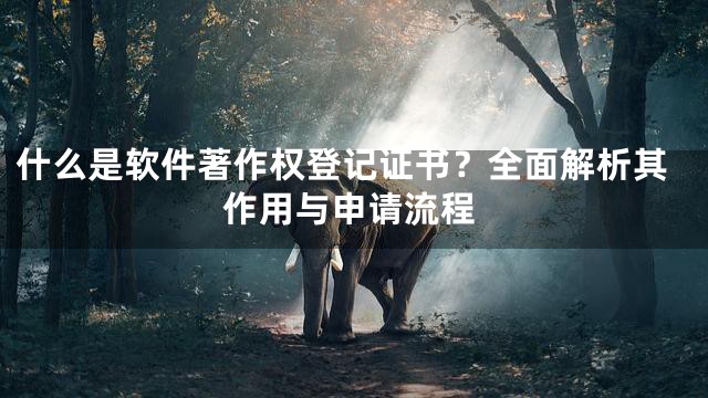 什么是软件著作权登记证书？全面解析其作用与申请流程