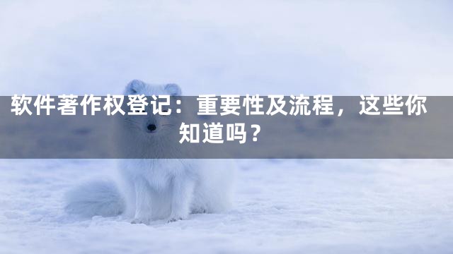 软件著作权登记：重要性及流程，这些你知道吗？