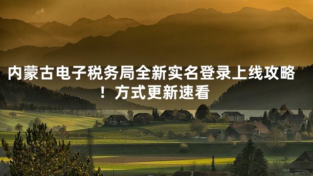 内蒙古电子税务局全新实名登录上线攻略！方式更新速看