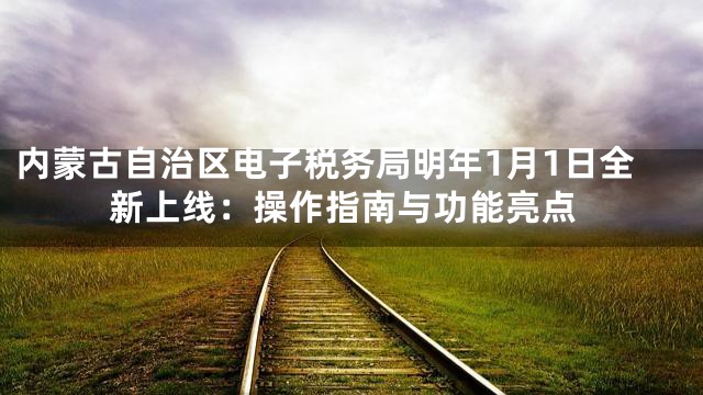 内蒙古自治区电子税务局明年1月1日全新上线：操作指南与功能亮点
