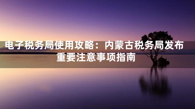 电子税务局使用攻略：内蒙古税务局发布重要注意事项指南