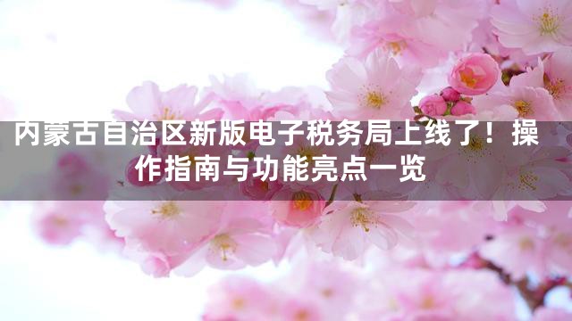 内蒙古自治区新版电子税务局上线了！操作指南与功能亮点一览