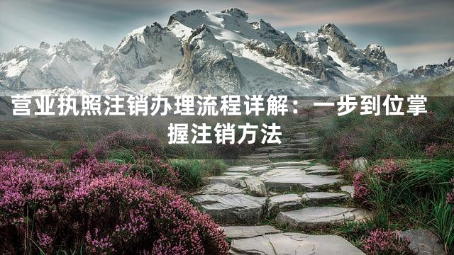 营业执照注销办理流程详解：一步到位掌握注销方法