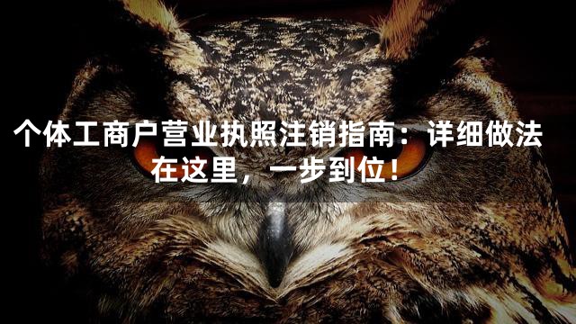 个体工商户营业执照注销指南：详细做法在这里，一步到位！