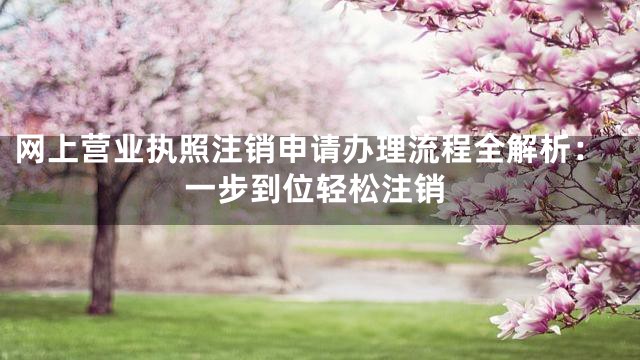 网上营业执照注销申请办理流程全解析：一步到位轻松注销