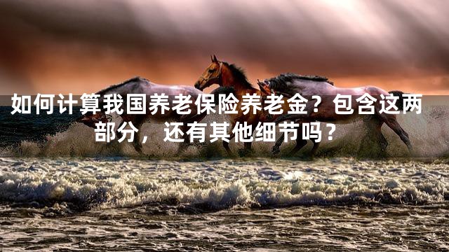 如何计算我国养老保险养老金？包含这两部分，还有其他细节吗？