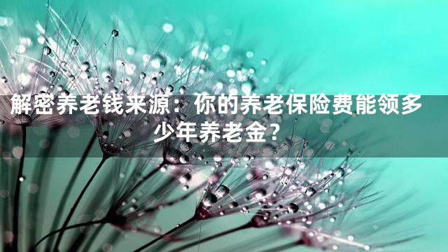 解密养老钱来源：你的养老保险费能领多少年养老金？