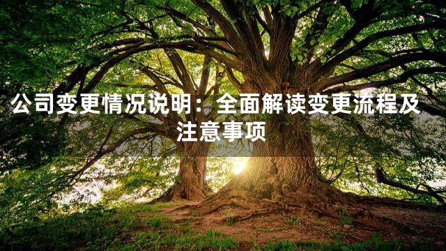 公司变更情况说明：全面解读变更流程及注意事项