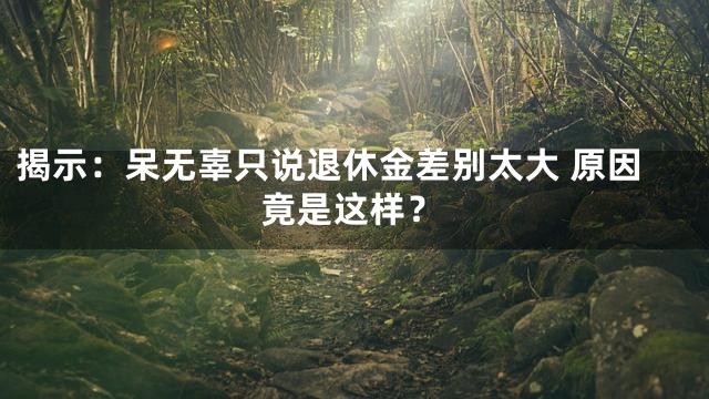 揭示：呆无辜只说退休金差别太大 原因竟是这样？