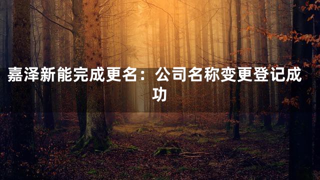 嘉泽新能完成更名：公司名称变更登记成功