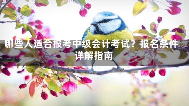 哪些人适合报考中级会计考试？报名条件详解指南
