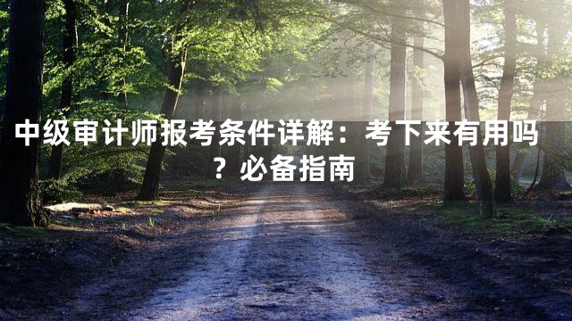 中级审计师报考条件详解：考下来有用吗？必备指南
