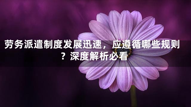 劳务派遣制度发展迅速，应遵循哪些规则？深度解析必看
