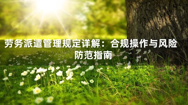劳务派遣管理规定详解：合规操作与风险防范指南