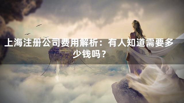 上海注册公司费用解析：有人知道需要多少钱吗？