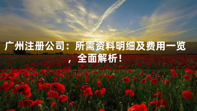 广州注册公司：所需资料明细及费用一览，全面解析！