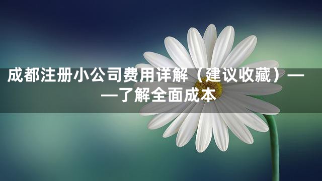 成都注册小公司费用详解（建议收藏）——了解全面成本