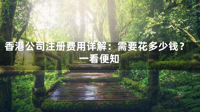 香港公司注册费用详解：需要花多少钱？一看便知