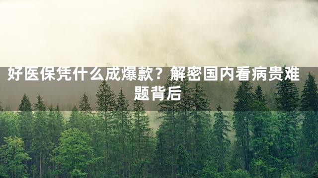 好医保凭什么成爆款？解密国内看病贵难题背后