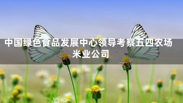 中国绿色食品发展中心领导考察五四农场米业公司