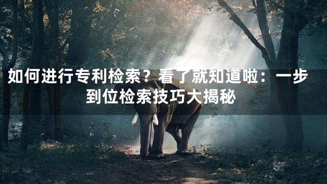 如何进行专利检索？看了就知道啦：一步到位检索技巧大揭秘
