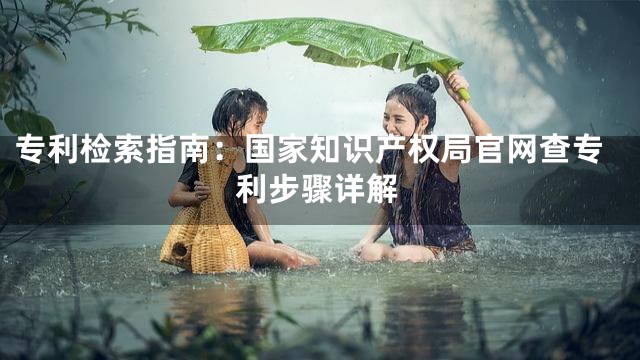 专利检索指南：国家知识产权局官网查专利步骤详解