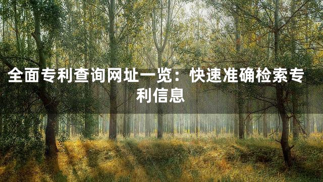 全面专利查询网址一览：快速准确检索专利信息