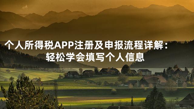 个人所得税APP注册及申报流程详解：轻松学会填写个人信息