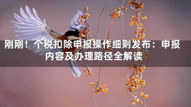 刚刚！个税扣除申报操作细则发布：申报内容及办理路径全解读