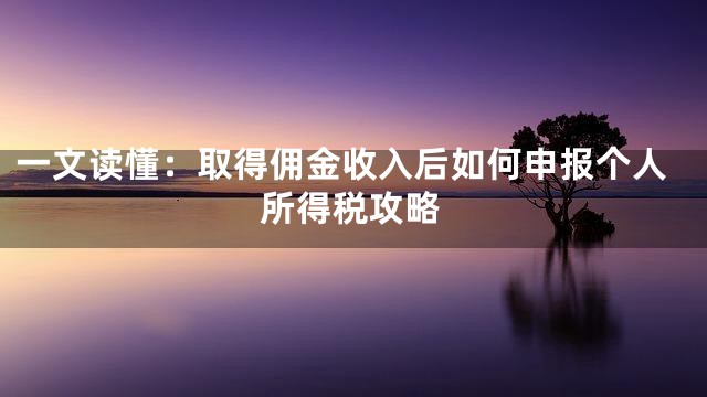 一文读懂：取得佣金收入后如何申报个人所得税攻略