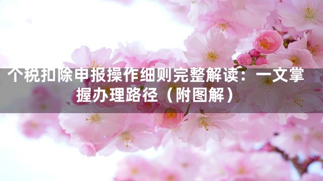 个税扣除申报操作细则完整解读：一文掌握办理路径（附图解）