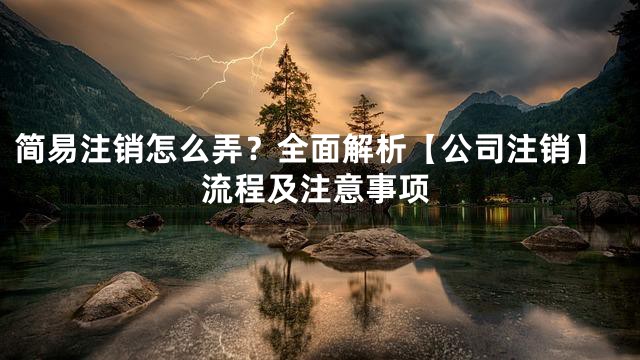 简易注销怎么弄？全面解析【公司注销】流程及注意事项